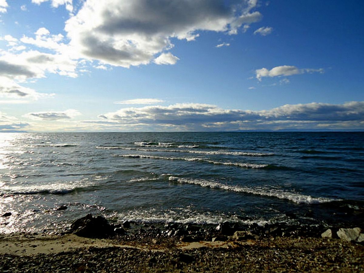 ��������� �����