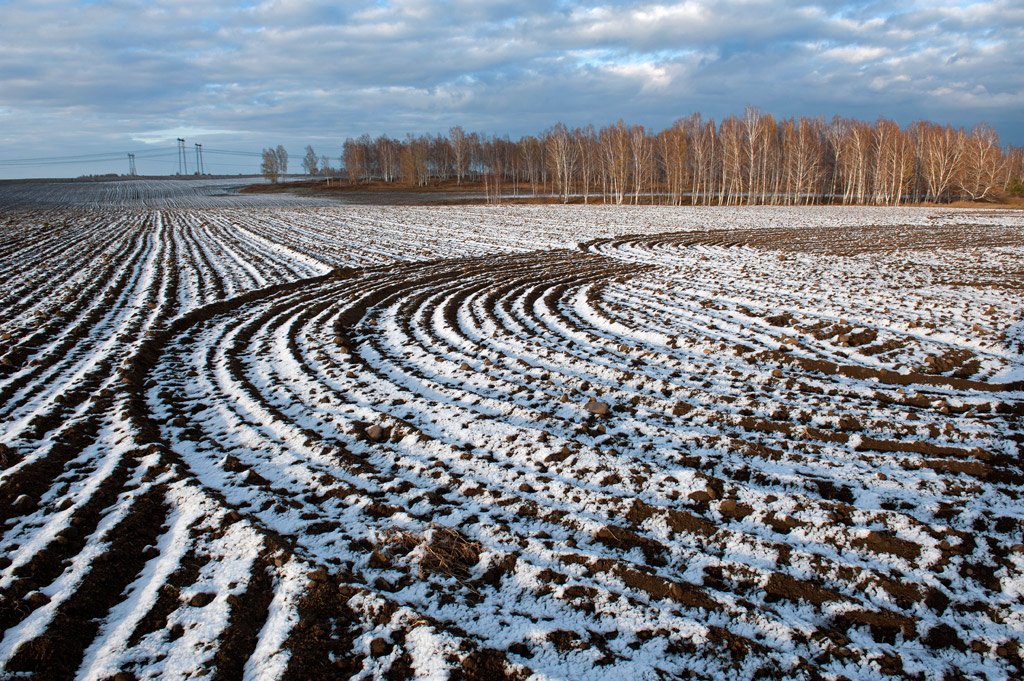 ������� ������