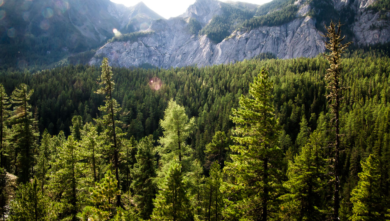 ����� � ��������� ������