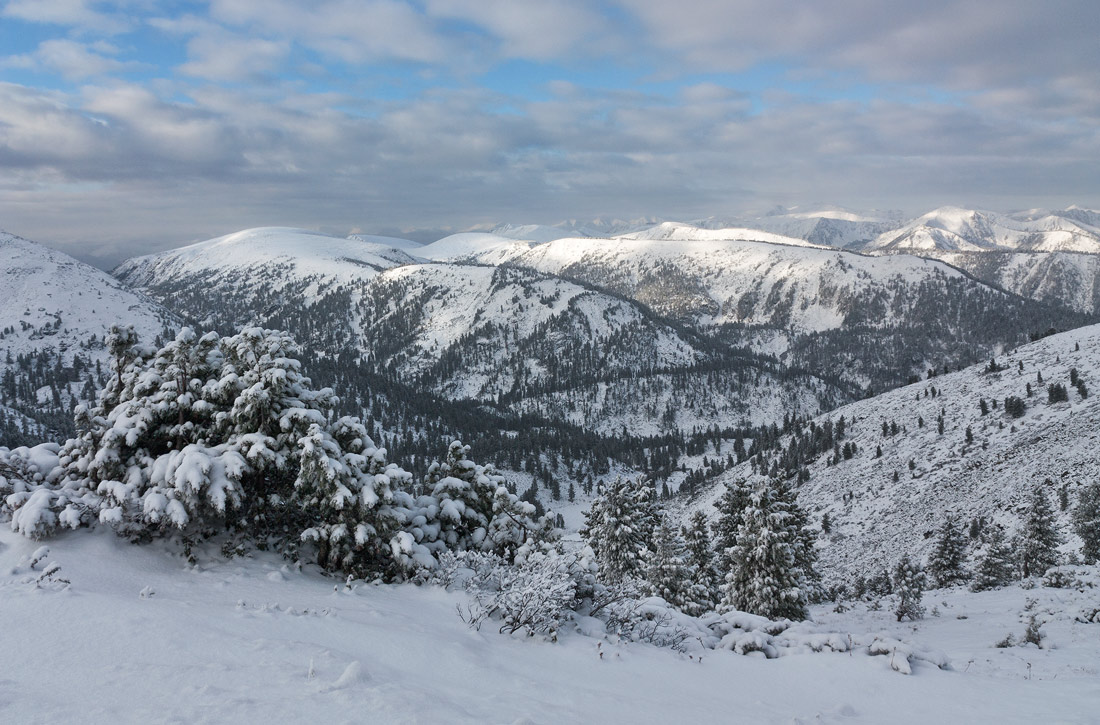 ����� ����� �����