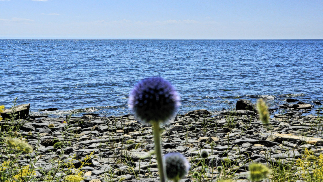 � ������ ������. ����� ������ - "���������� ���������"�