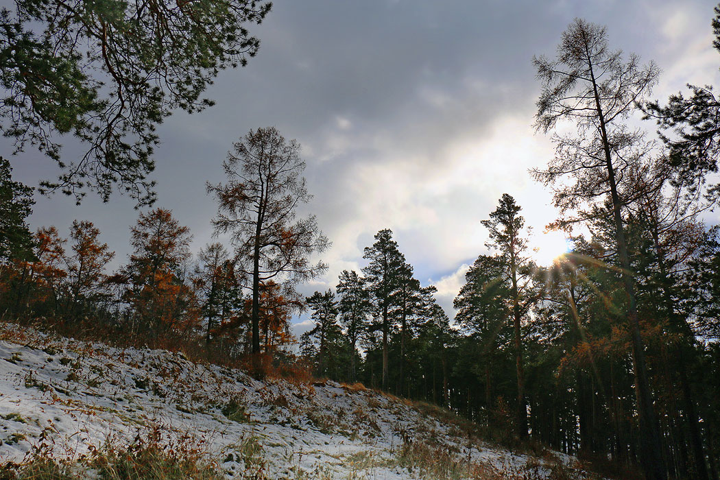 ������� ������ � ������� ����