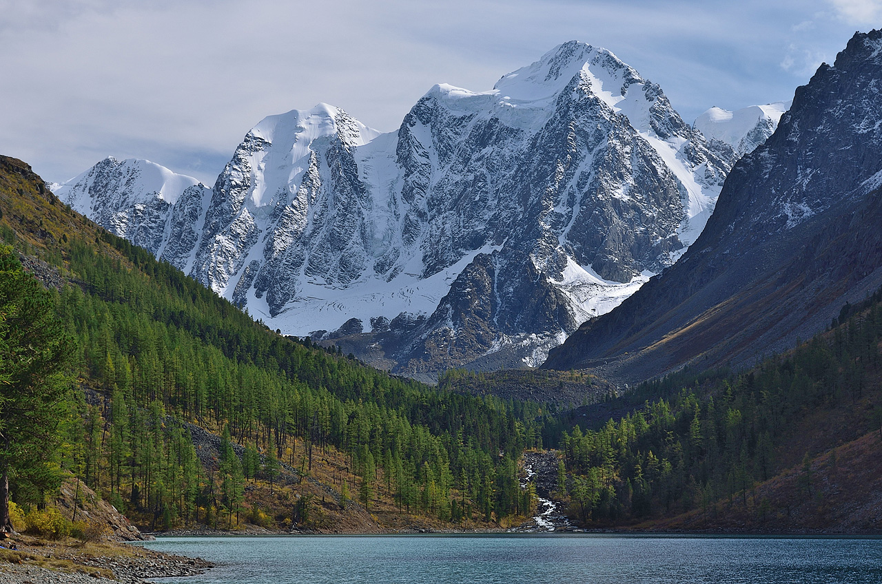 ���������, ������, �����