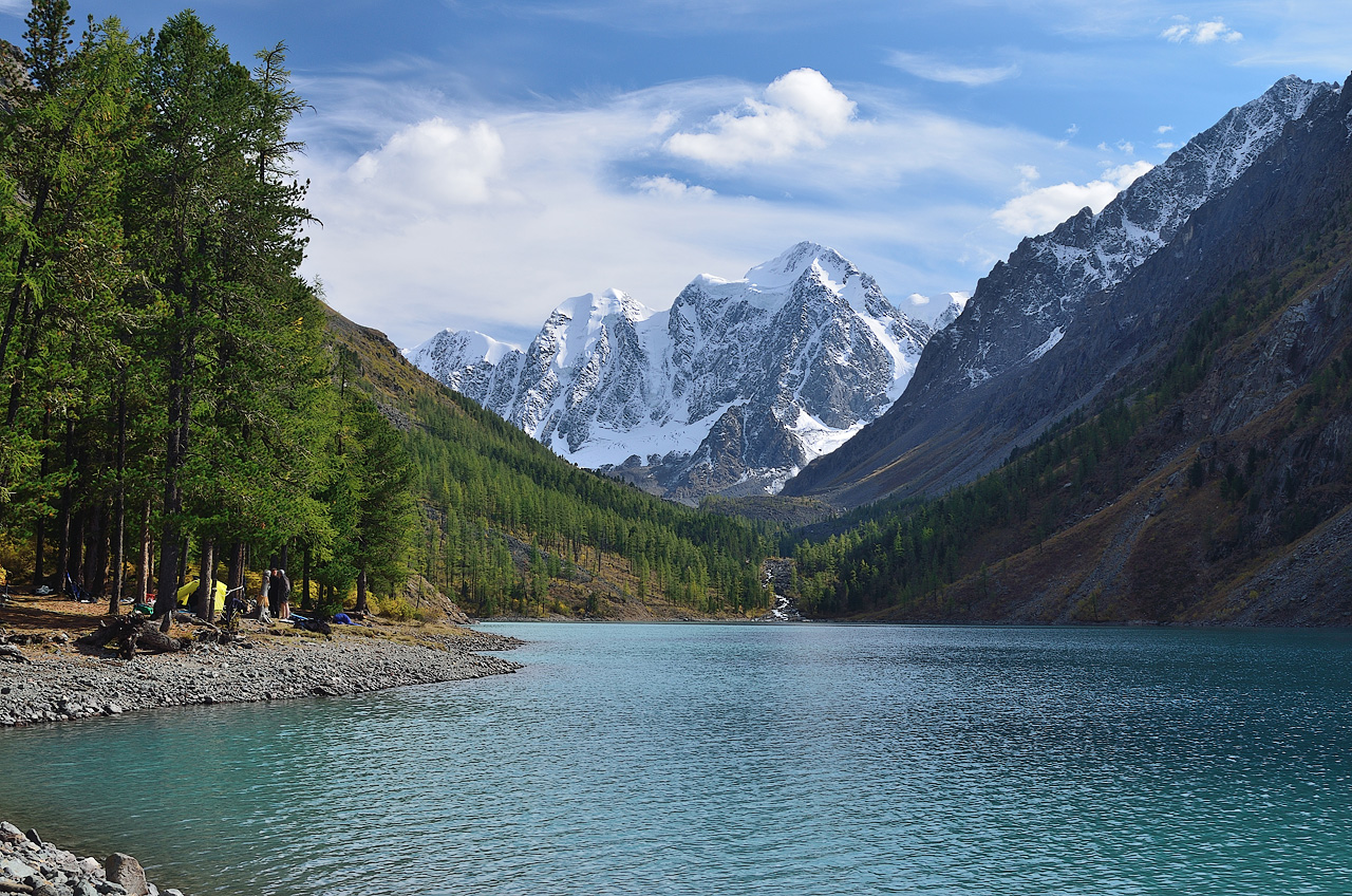 ������ �� ������ ���������������� �����. ������ ������ � �������� 2015 �