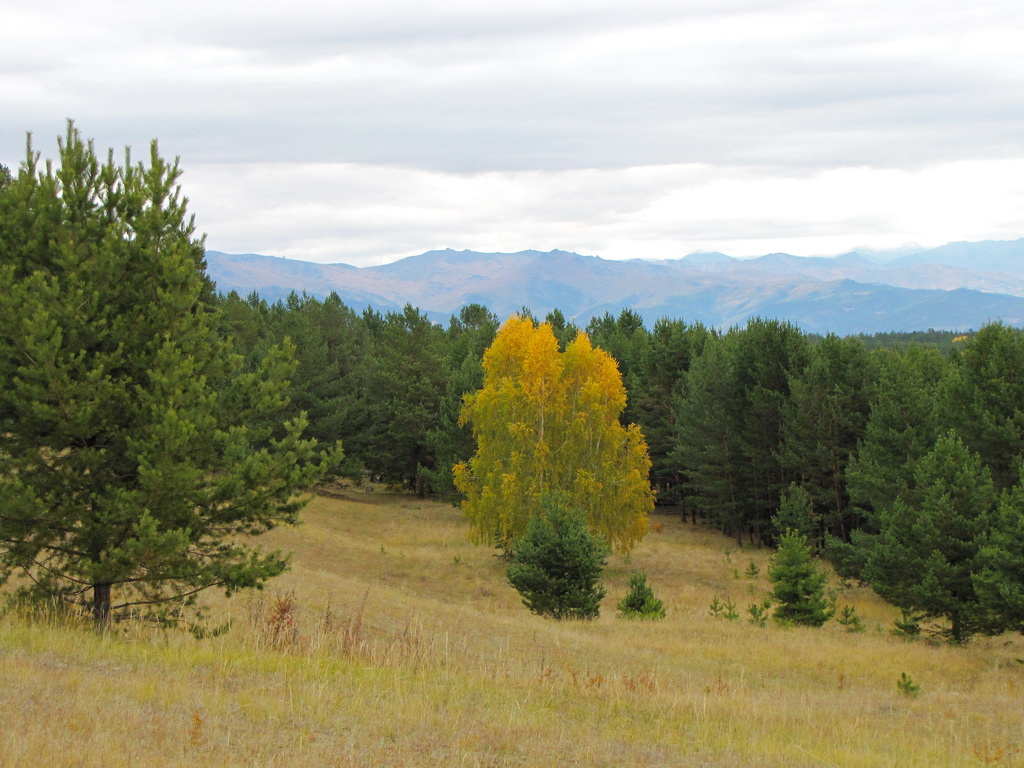 Ƹ���� � ������