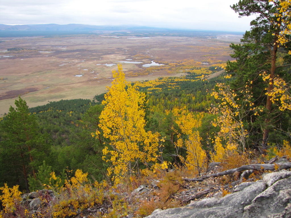 ���� ����� ��������