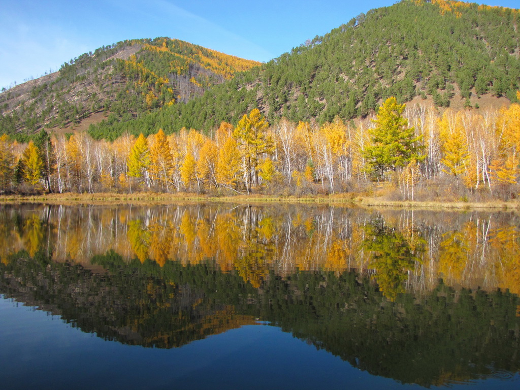 �����-�������