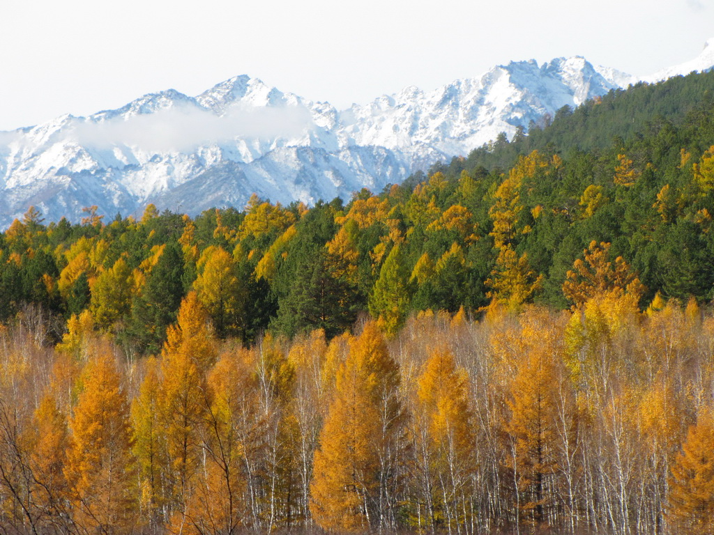 ������������ ������ �� ������� ������� �������