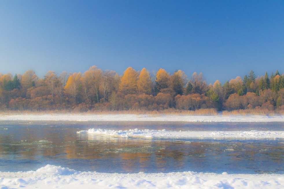 ���������� ������ ������