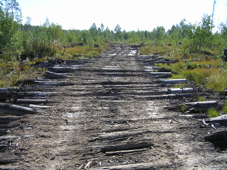 ������ �