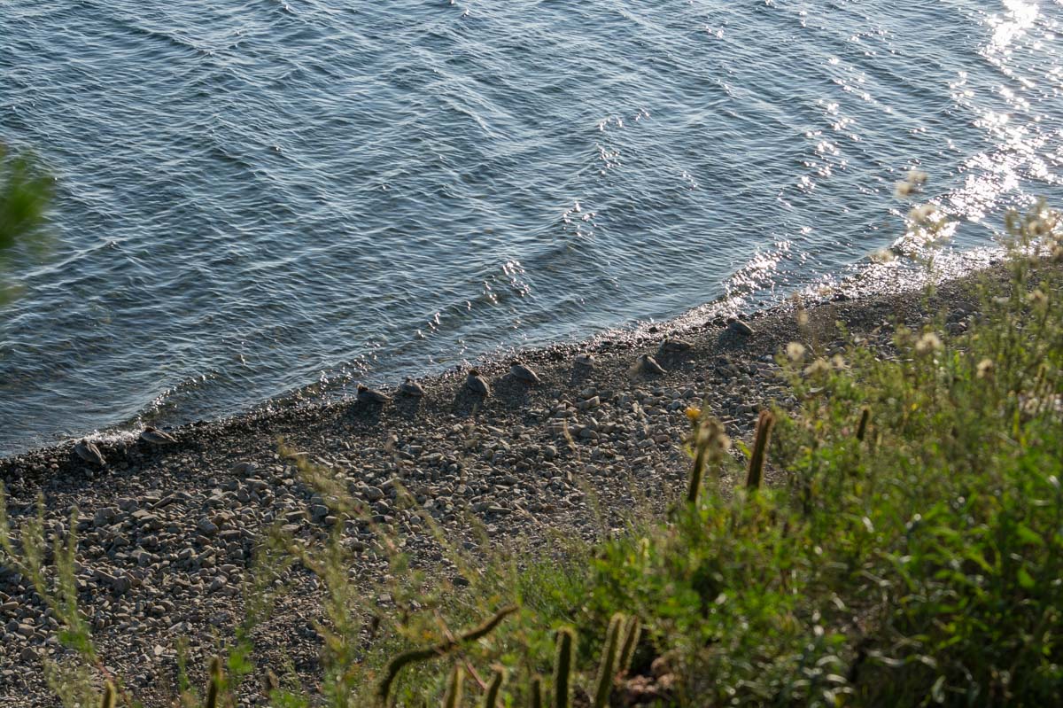 ����������