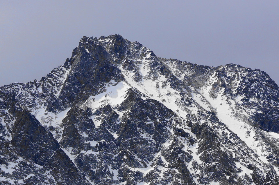 ��� ������ �������