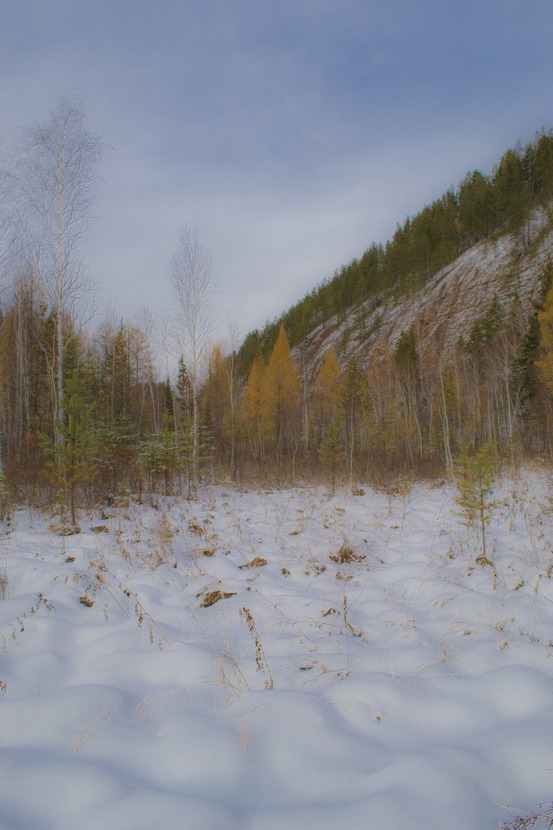 � ������ ����� ���� ����