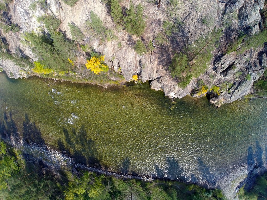 ���� �������� ������