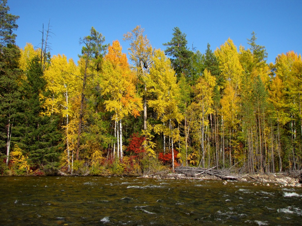 ������� ������� ��������� �����