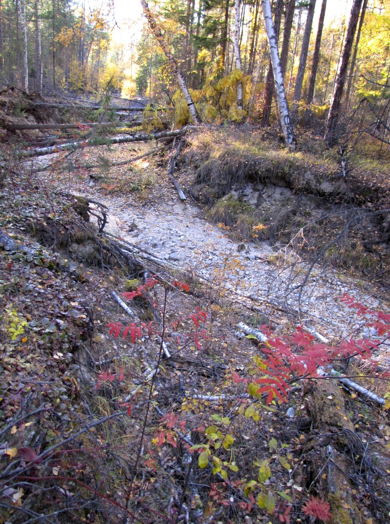 ����������� ����� ��������� � �������� ������