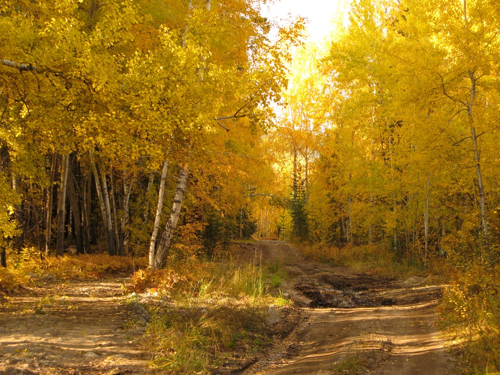 ������� ������ �� �����