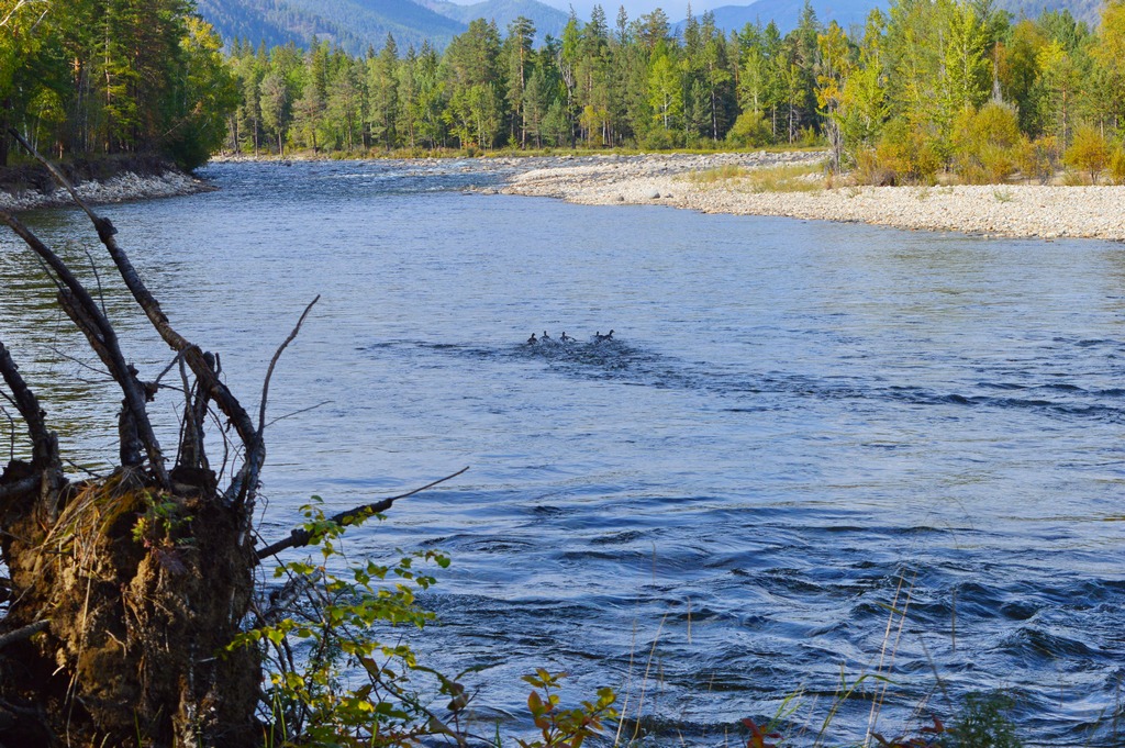 ������ ������� � ��������� ���� ��������