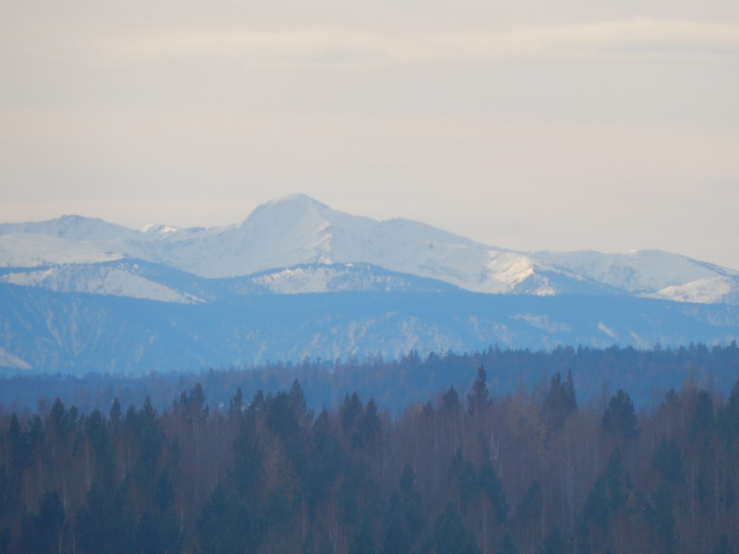 �����-����� � ����� �������