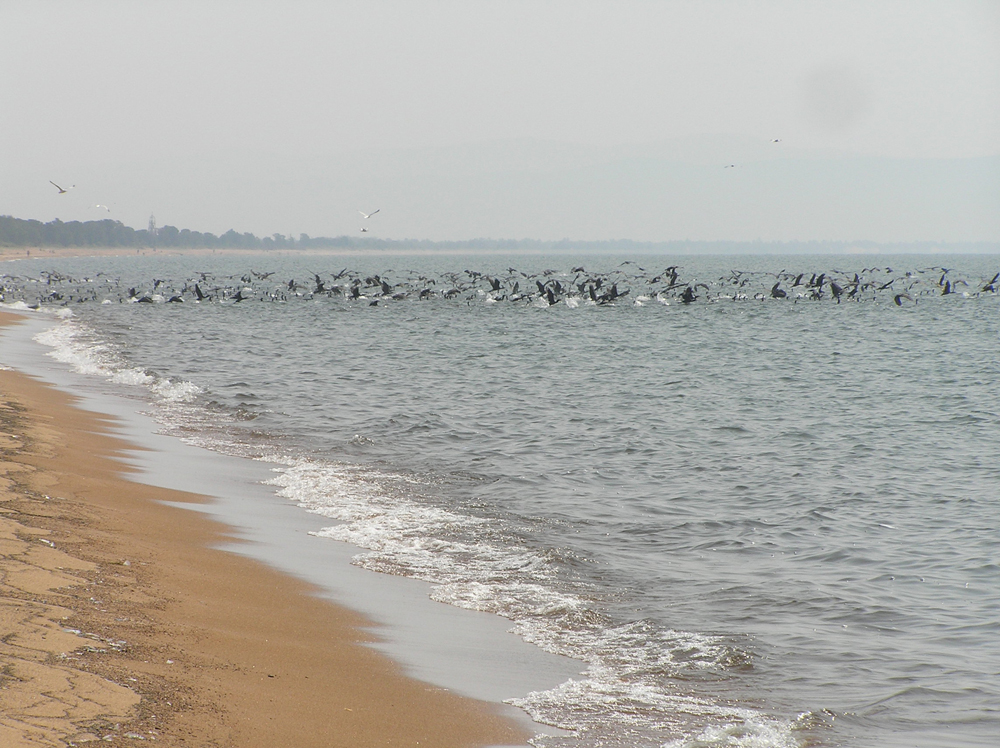 ����������