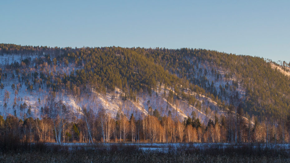 ����� ������ ������