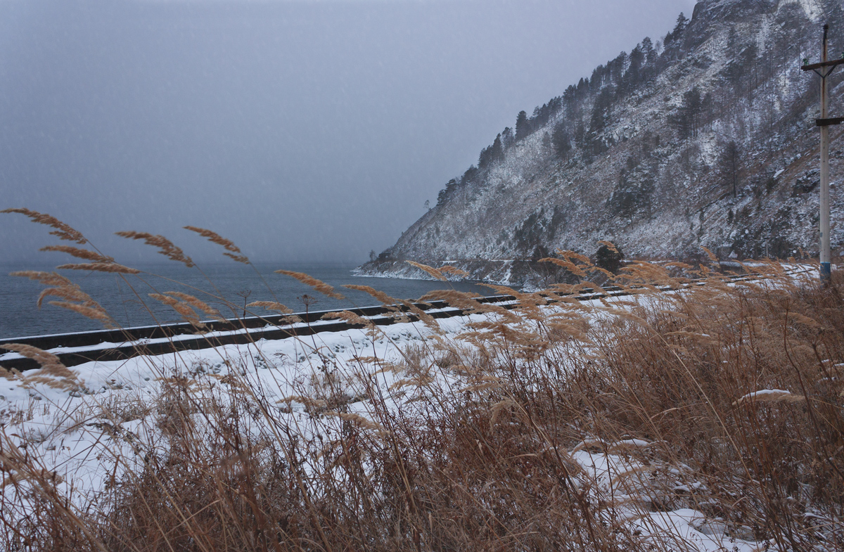 ��������� �����