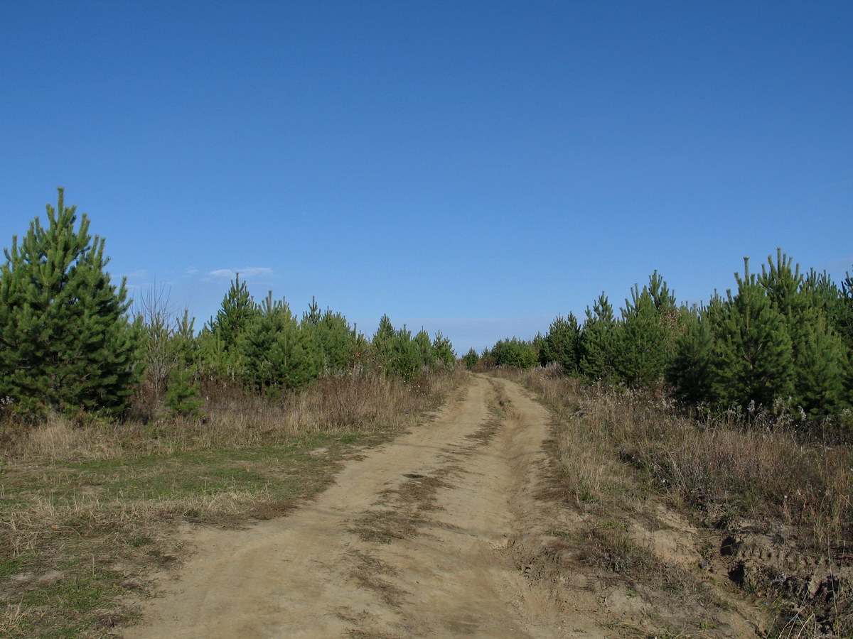 Спуск от ЛЭП
