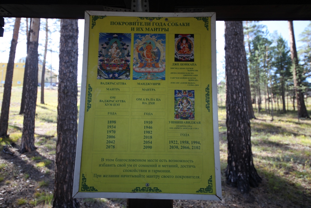 ������ ���� ������