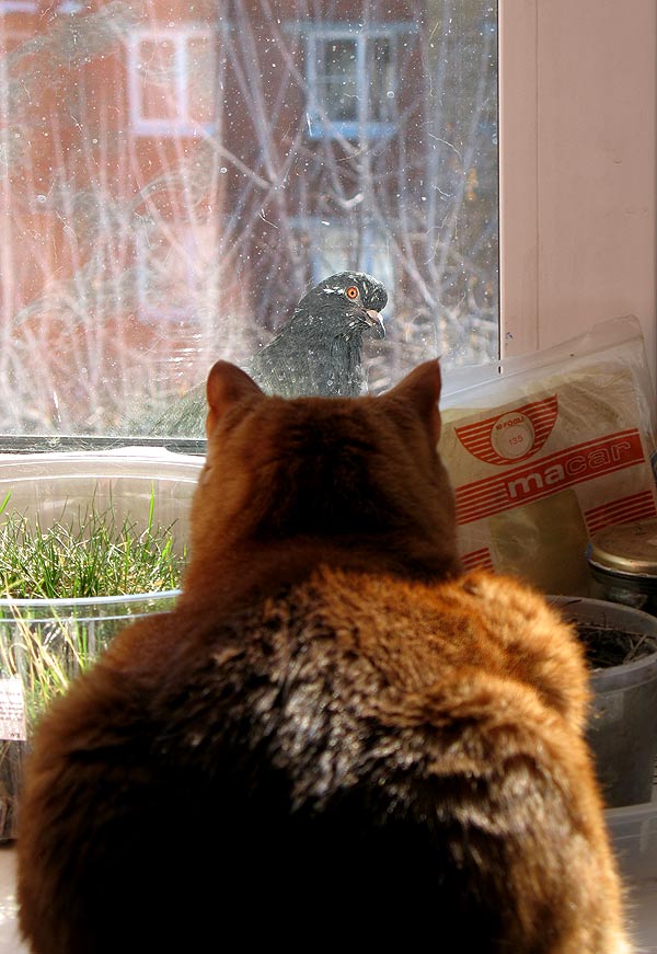 � ����� �����!