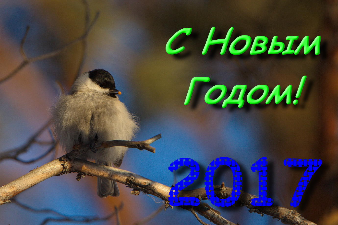 С новым годом!