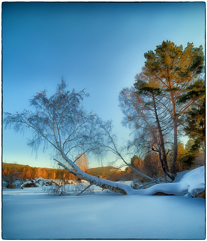 ��������� ���