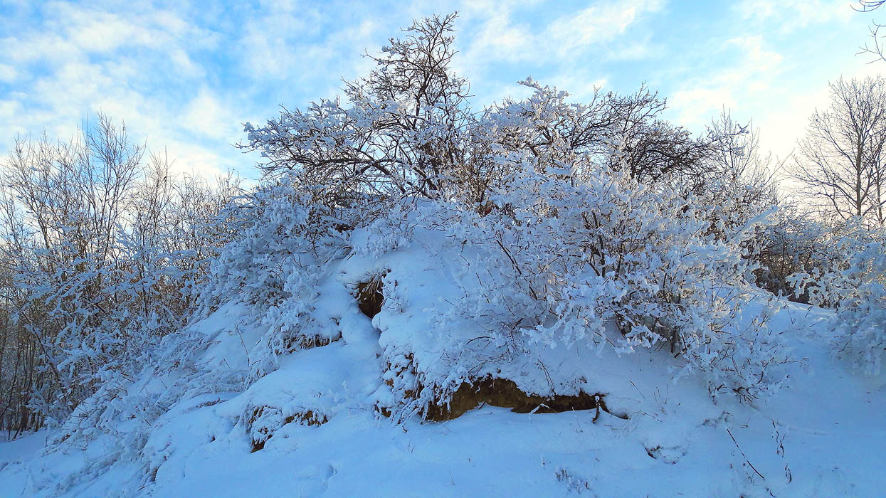 �� �������� ��� ������� ��������