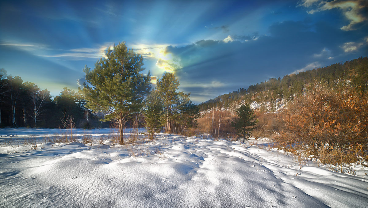 ������ ���