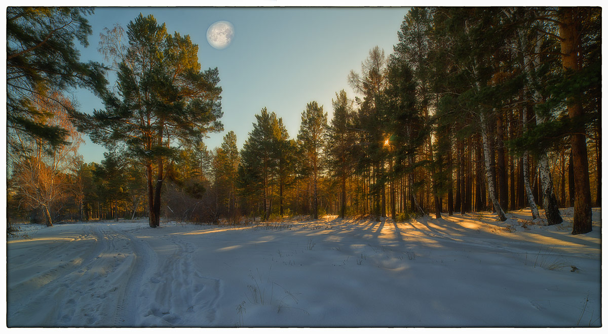 ������ ���