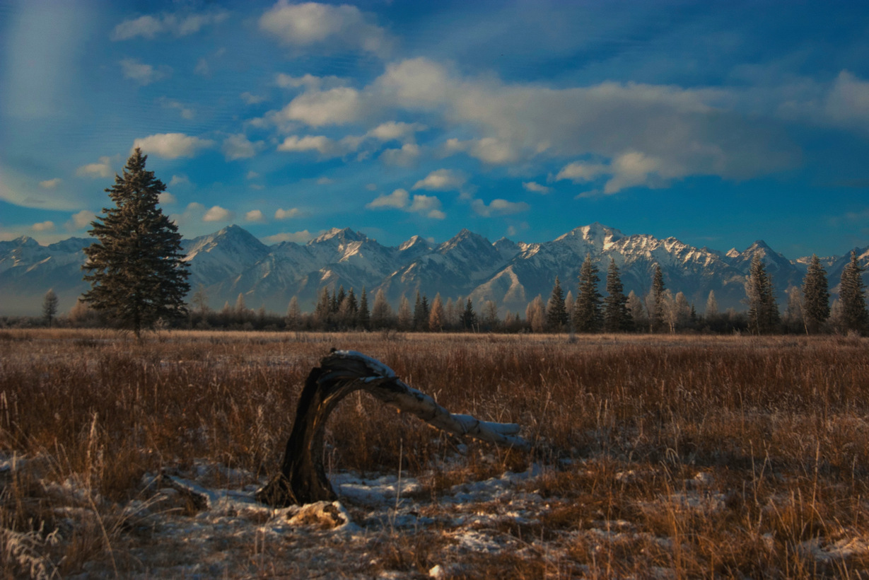 � ����������� ������