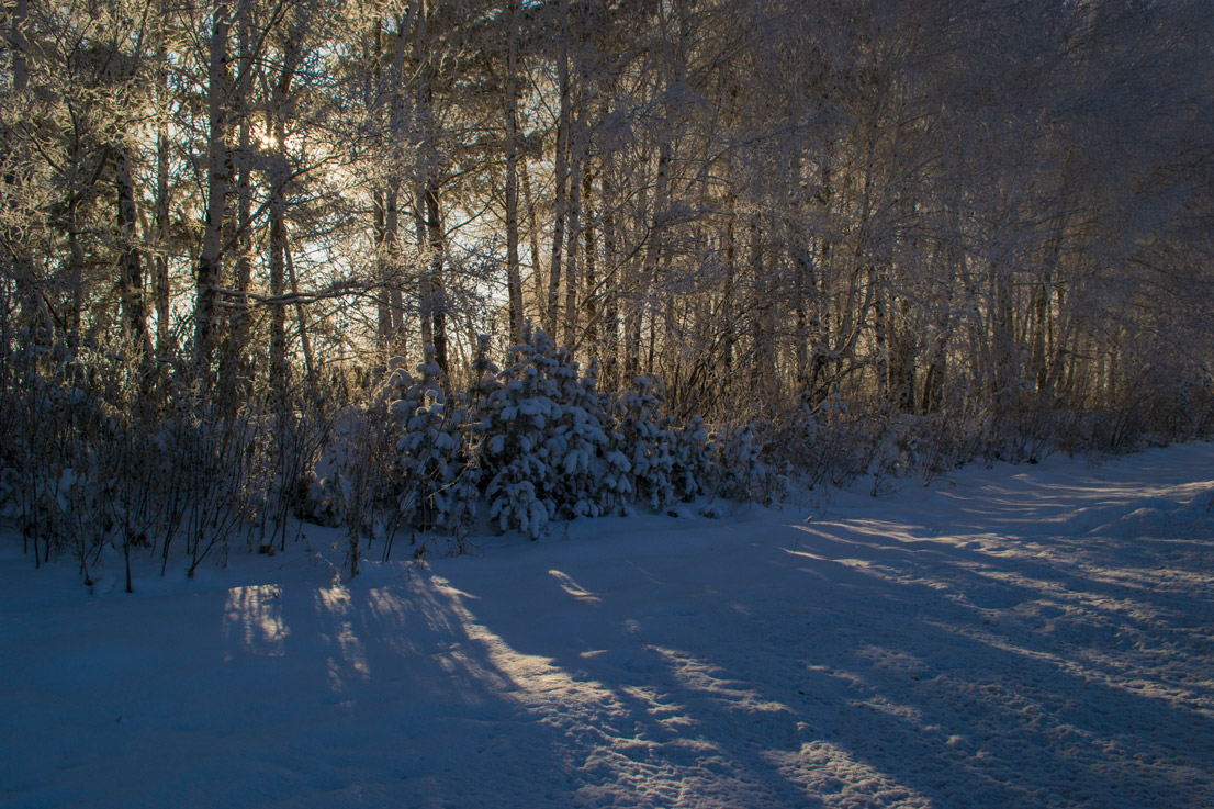 ��� ������� ����������� ������