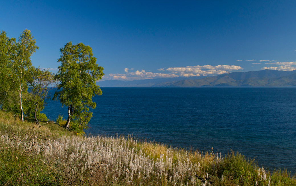 ������������ ������ �������������