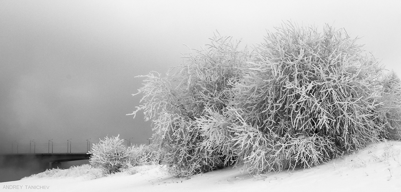 ������ �� ������