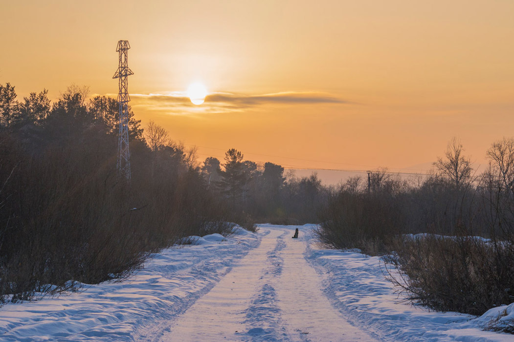 ����������� ������� �� ������� ������