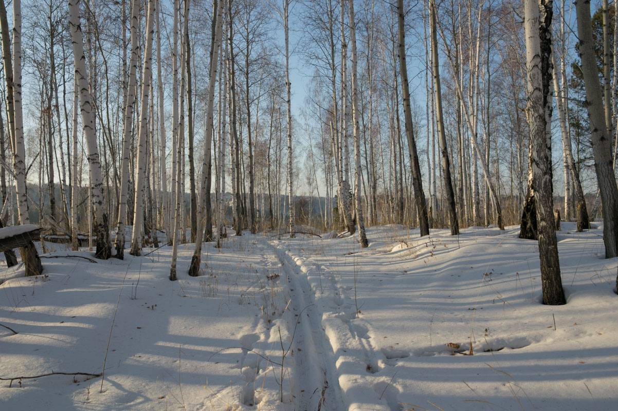 ���� �����