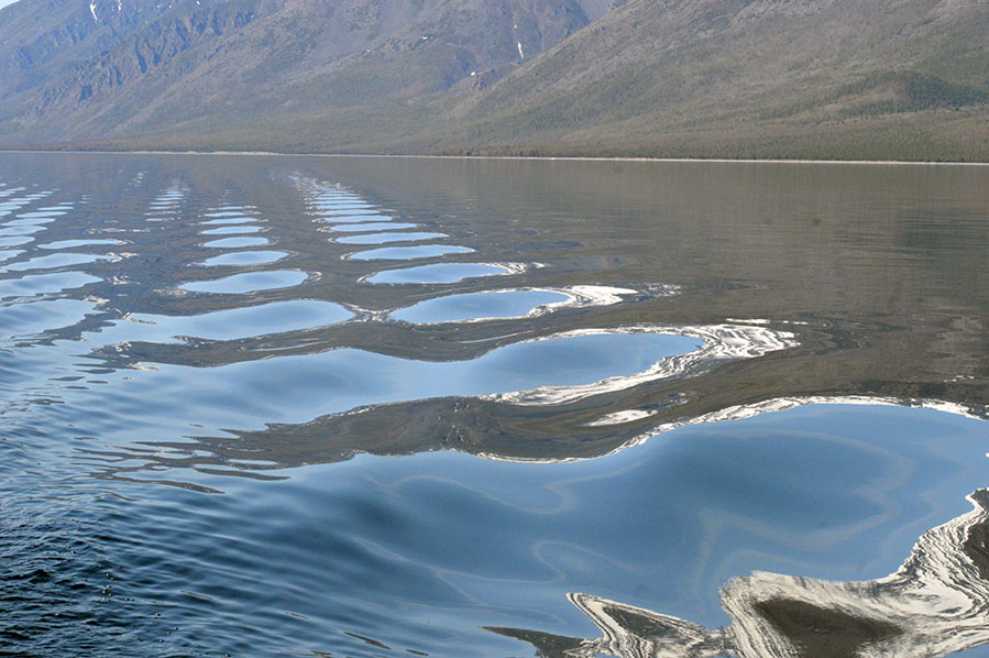 ����� �� ����