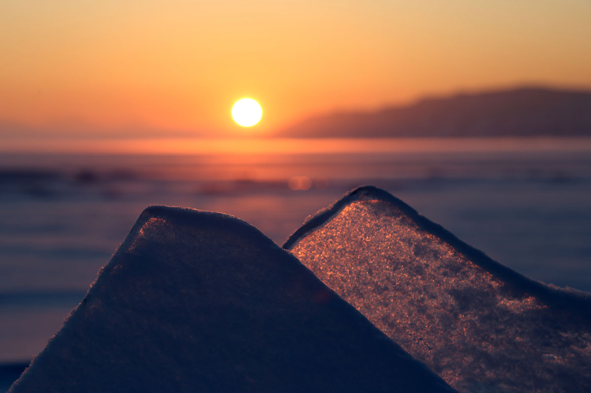 ��� ��������