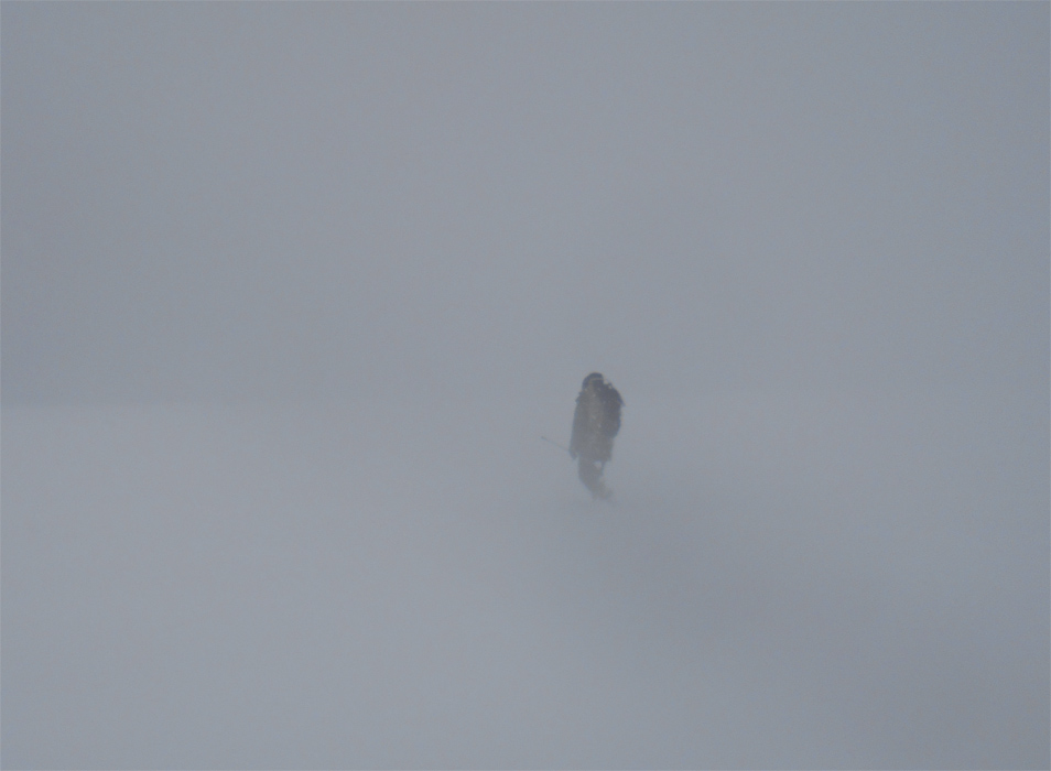 ������ ����