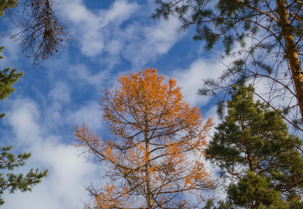 ������� ���� � �����