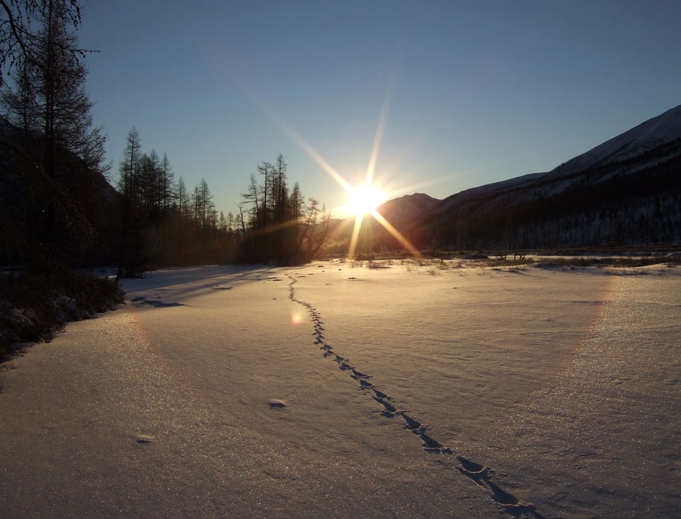 �������� ����