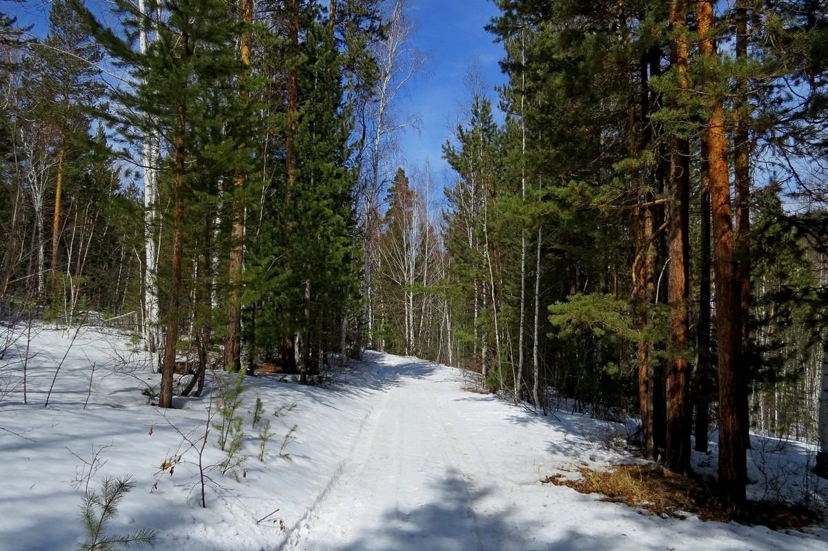 ����� �������