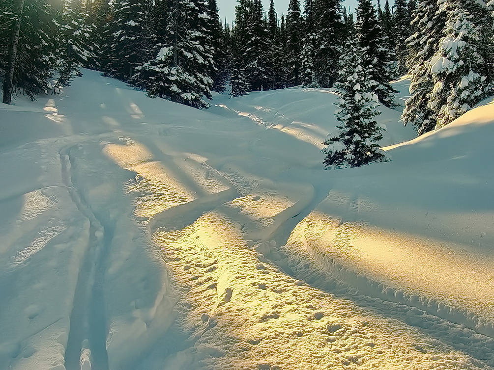 ����� ����� ���������. ���-�� �� �����-������