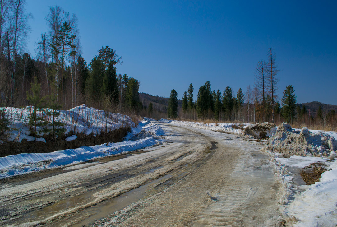 � ����������� 49-�� �� ����������� ������