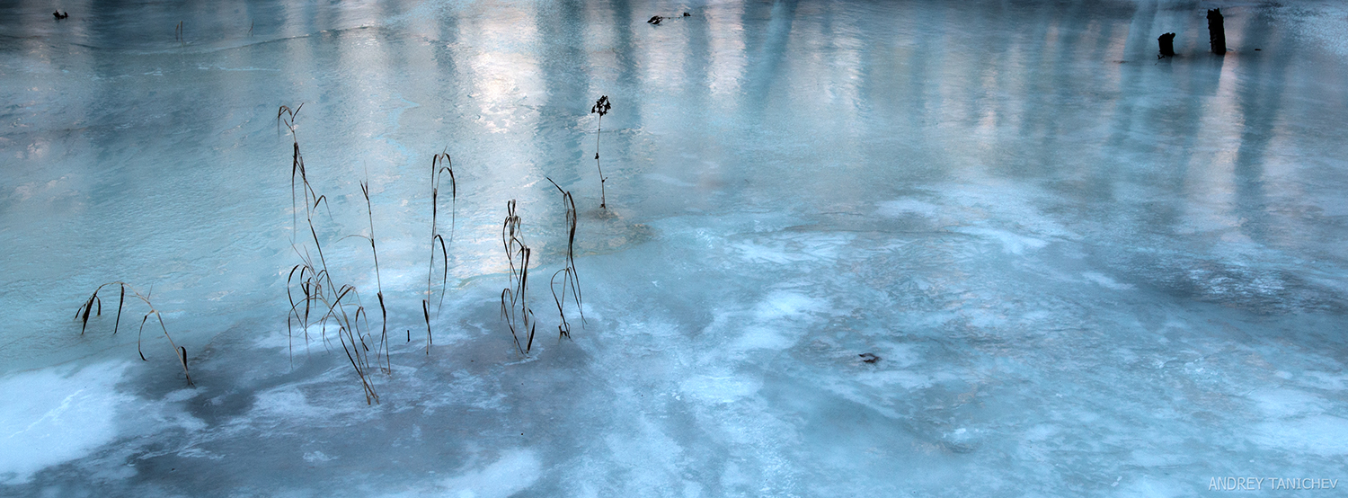 ��� ����� ����