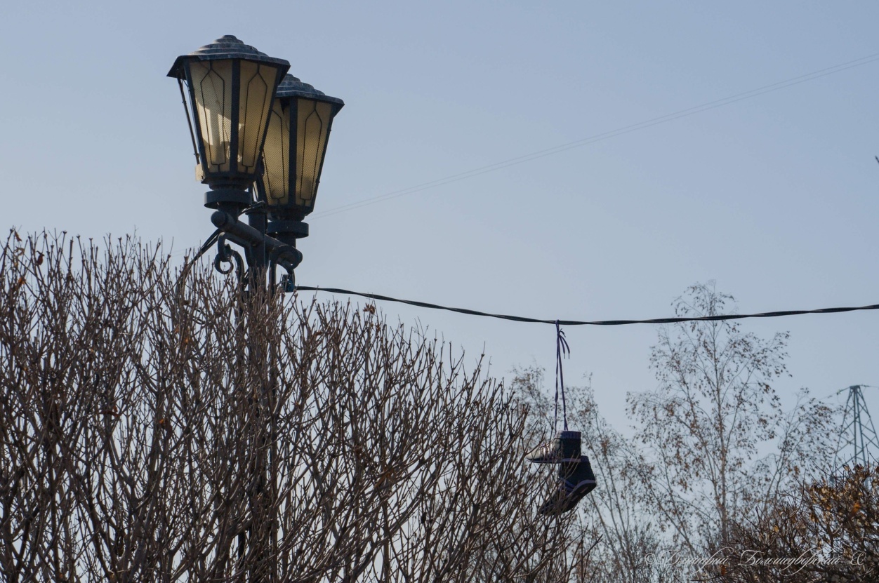 ����� � �������� �� ������� 50-����� �������